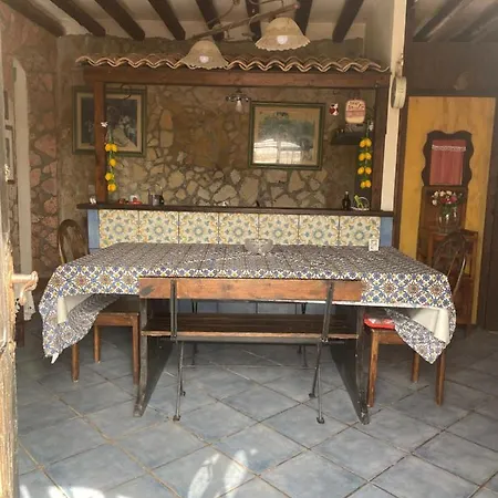 Stella * Terrauzza